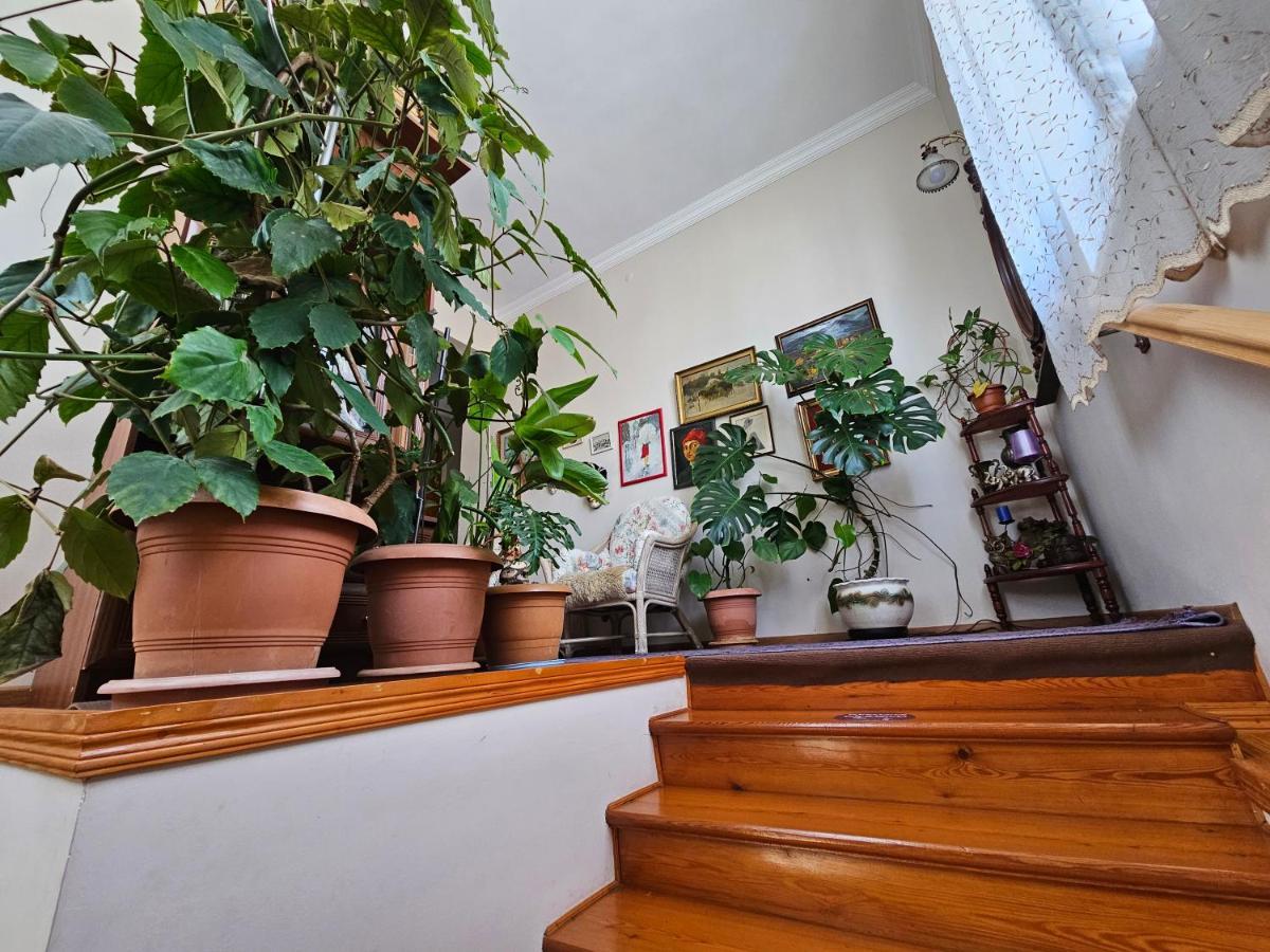 Tamari Guest House Telavi Luaran gambar