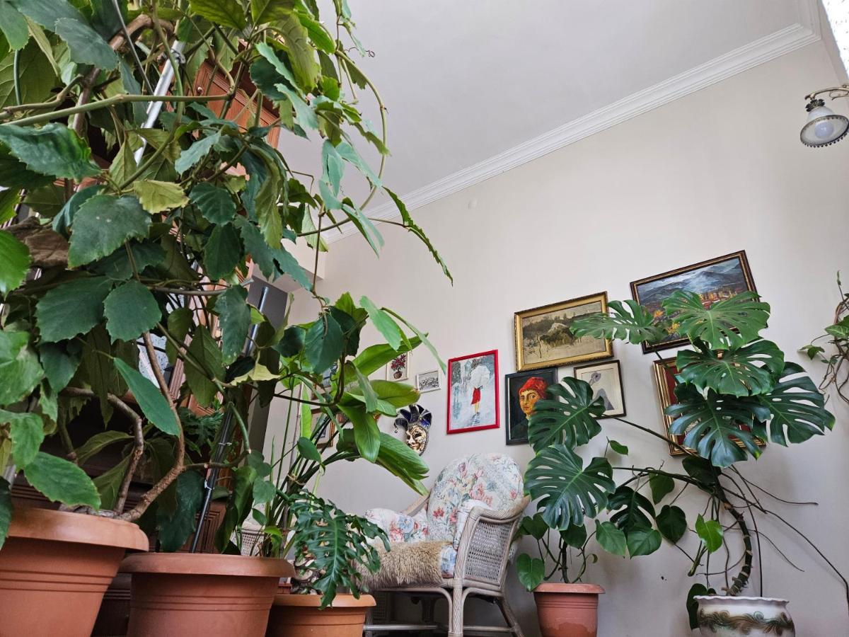 Tamari Guest House Telavi Luaran gambar