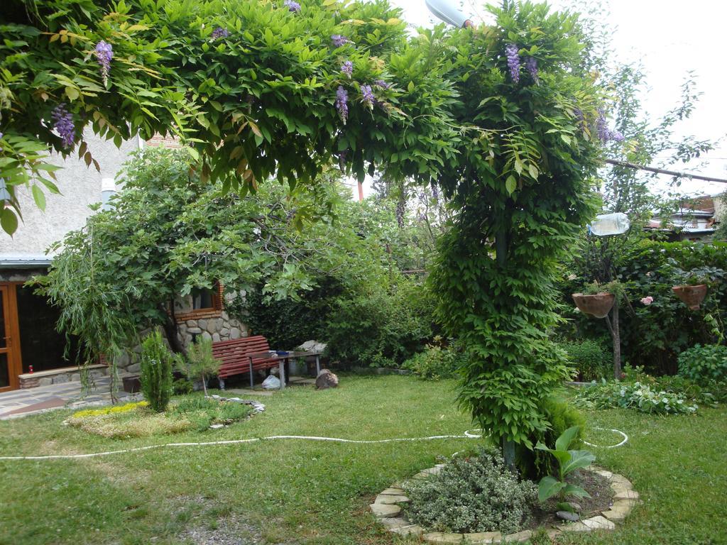 Tamari Guest House Telavi Luaran gambar