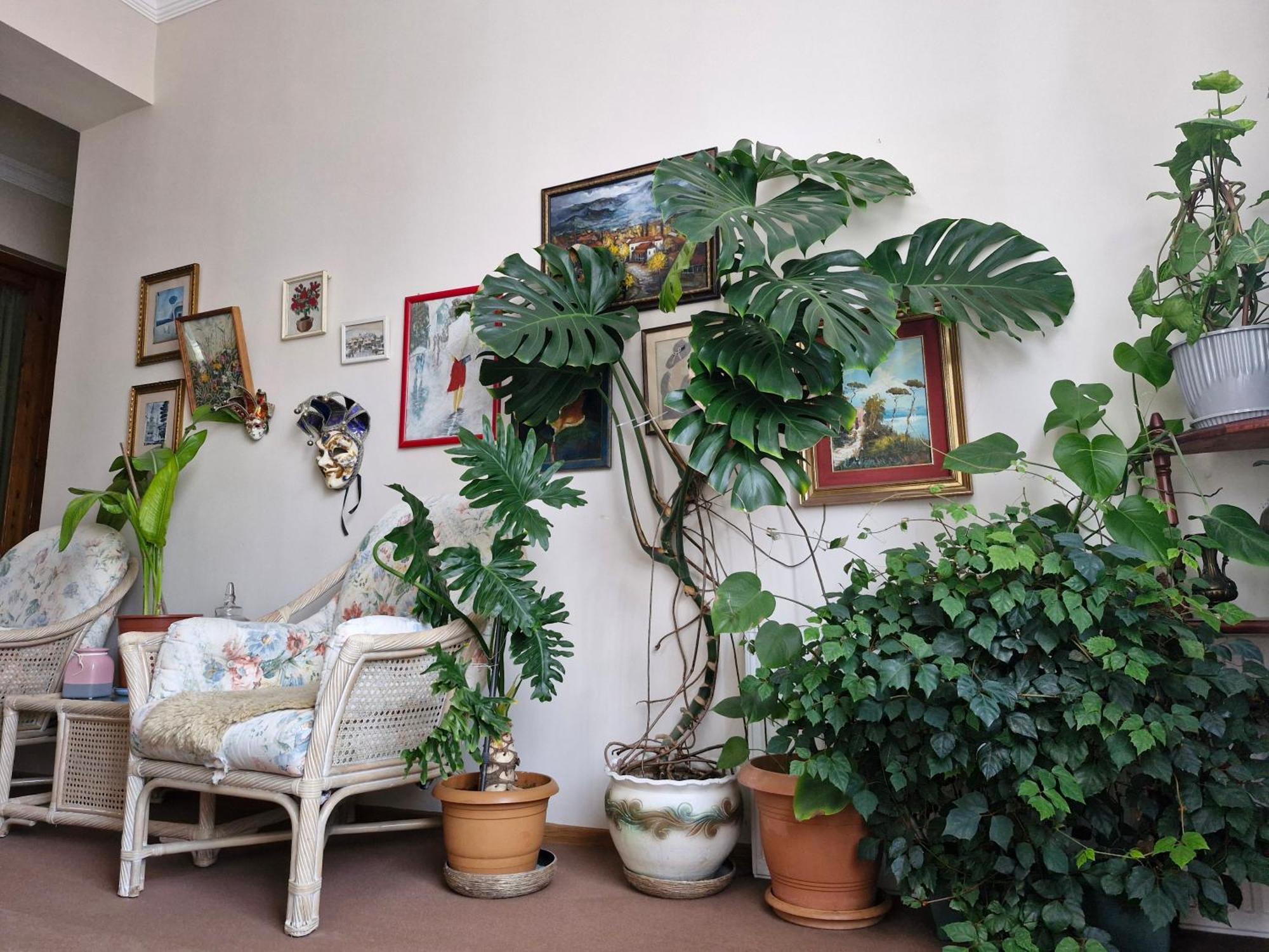 Tamari Guest House Telavi Luaran gambar