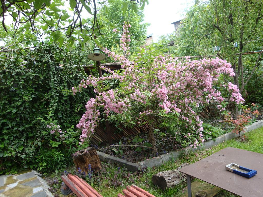 Tamari Guest House Telavi Luaran gambar